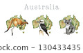 Australia native animals in front of continent map hand drawn vintage style illustration set on white background. Australian native animals and bird fauna country symbol collection 130433435