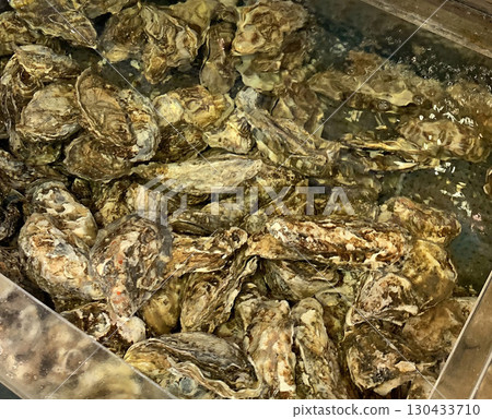 Akkeshi oysters Akkeshi oysters Akkeshi brand oysters 130433710