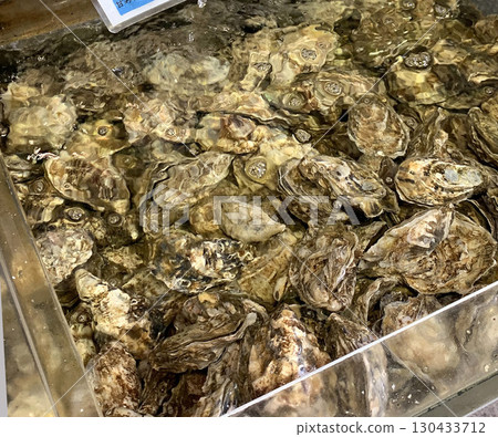 Akkeshi oysters Akkeshi oysters Akkeshi brand oysters 130433712