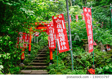 Kamakura City Sasuke Inari Shrine, next to the worship hall, red torii gate to the mound, a power spot associated with Minamoto no Yoritomo Kamakura City Sasuke Inari Shrine, next to the worship hall, red torii gate to the mound, a power spot associated with Minamoto no Yoritomo 130433797