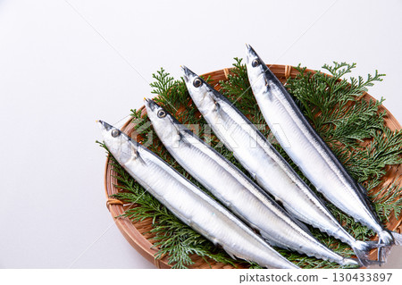 pike 130433897