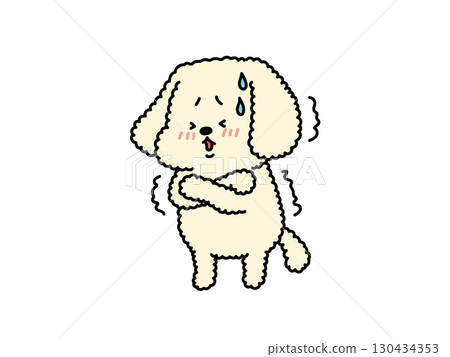 Are you nervous? Are you cold? Do you have a cold? The shivering poodle 130434353