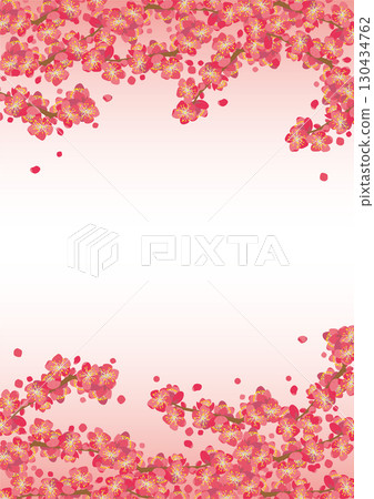 背景材料<花、梅花(簇生、簇生)及大量開放的花瓣、色彩> 背景材料<花、梅花(簇生、簇生)及大量開放的花瓣、色彩> 130434762