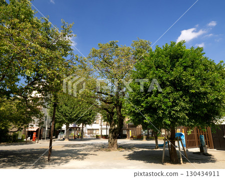 東京常盤莊公園 東京常盤莊公園 130434911
