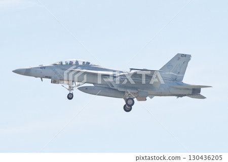 美國海軍 F/A-18F 超級大黃蜂 VFA-102 響尾蛇戰機進行展示飛行 美國海軍 F/A-18F 超級大黃蜂 VFA-102 響尾蛇戰機進行展示飛行 130436205