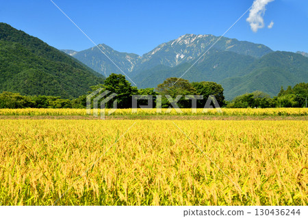 View of Mount Renge and Mount Kitakadake from Omachi, Omachi City (Omachi City, Nagano Prefecture) [September 2025] 130436244