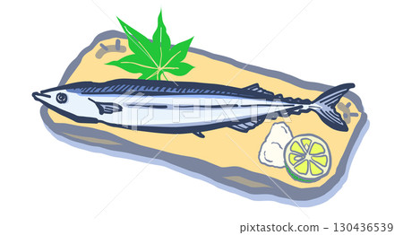 秋刀魚（秋季當季魚類）的毛筆插圖（無背景）。 130436539