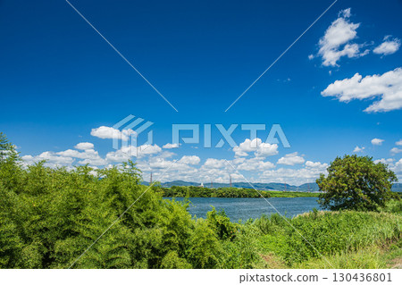 枚方市淀川的夏日風景 枚方市淀川的夏日風景 130436801