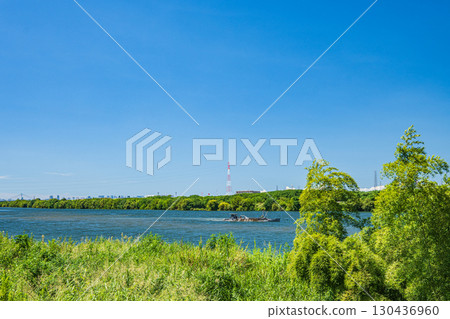 Summer scenery of the Yodo River, Hirakata City Summer scenery of the Yodo River, Hirakata City 130436960