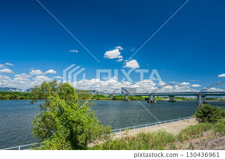 枚方市淀川的夏日風景 130436961