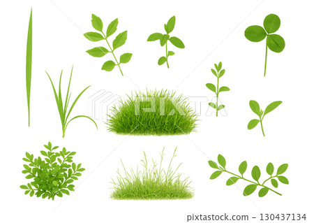 Green plants and grass transparent silhouette material set 130437134