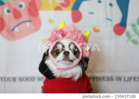 Cute Chihuahua Setsubun Cute Chihuahua Setsubun 130437180