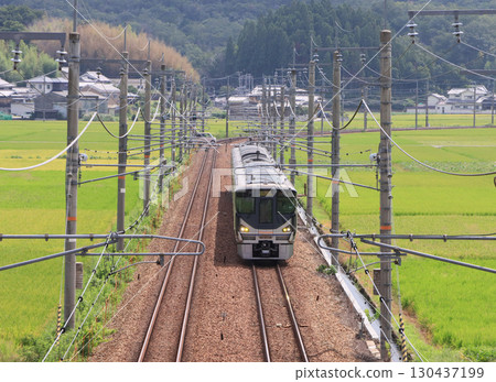Autumn Fukuchiyama Line 225 series running near Sanda Autumn Fukuchiyama Line 225 series running near Sanda 130437199