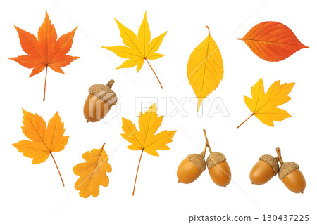 秋葉和橡子透明材質套裝 130437225