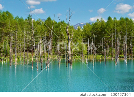 Mysterious pond 130437304