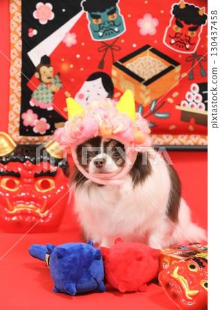 A cute Chihuahua plays the role of the Setsubun demon A cute Chihuahua plays the role of the Setsubun demon 130437458