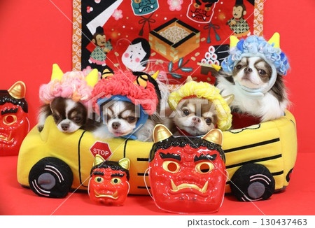 一隻可愛的吉娃娃扮演節分鬼 130437463