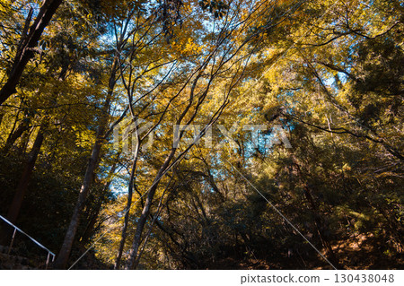 Sanba Valley in Autumn Sanba Valley in Autumn 130438048
