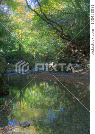 Green Sanba Valley 130438051