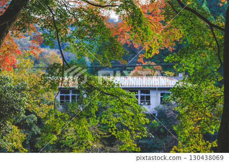 Lake Kamokita and ruins during autumn foliage season 130438069