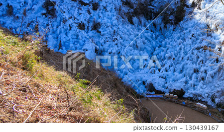 Ice pillar of ragwood 130439167