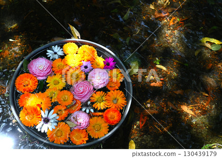 Beautiful flowers floating on the water 130439179