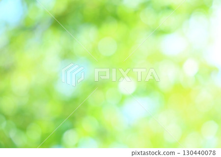 Out-of-focus wild cherry tree leaves [Circular bokeh] [Bokeh] 130440078