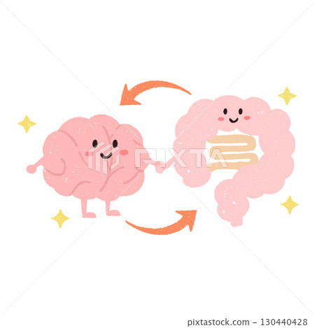Hand-drawn cute illustration of the gut-brain axis Hand-drawn cute illustration of the gut-brain axis 130440428