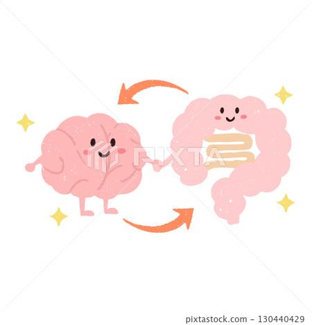 Cute hand-drawn illustration of the gut-brain axis with a white border 130440429