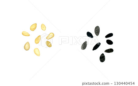 一組白芝麻和黑芝麻。手繪水彩畫，描繪蔬菜和調味品。 130440454