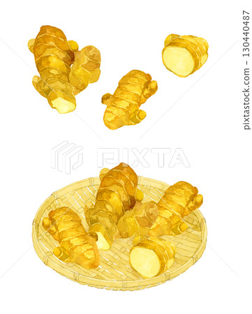 薑套裝 - 蔬菜和調味品的手繪水彩插圖集 130440487