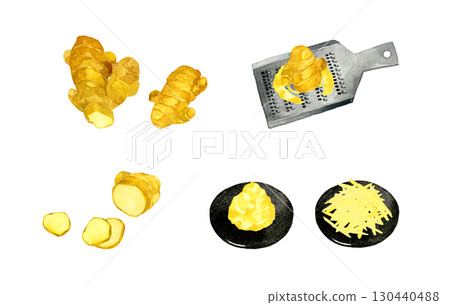 Ginger set for various cooking methods - A collection of hand-drawn watercolor illustrations of vegetables and condiments Ginger set for various cooking methods - A collection of hand-drawn watercolor illustrations of vegetables and condiments 130440488