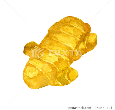 生薑(單品)手繪水彩畫蔬菜和調味品 生薑(單品)手繪水彩畫蔬菜和調味品 130440491
