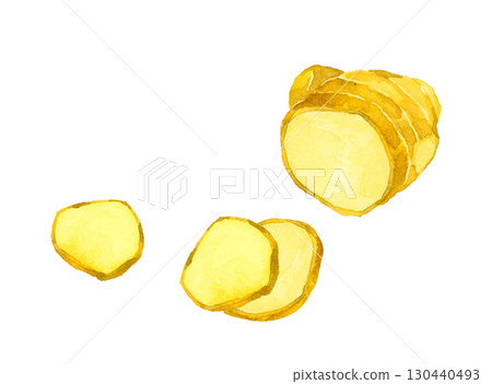 切（片）薑-蔬菜和調味品的手繪水彩插圖 130440493