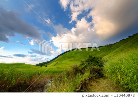 2025年初秋的曾尼高原的夜景。兩株莎草被晚霞映照。一條步道和大龜池殘留的水面。 130440978