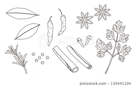 各種香料和草藥的線條插圖 130441104
