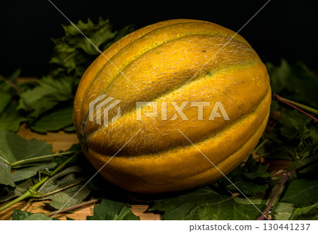 Golden Melon Still Life on a Dark Background 130441237