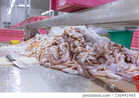 Fish trimming process line room in fish can manufactory, Sea food factory plant in Southeast Asian 130441483