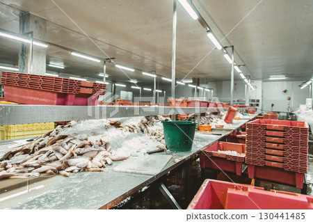 Fish trimming process line room in fish can manufactory, Sea food factory plant in Southeast Asian 130441485