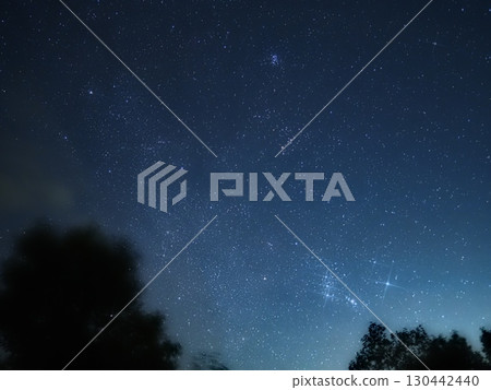 Starry sky and silhouettes of trees swaying in the wind (20250827025548) Starry sky and silhouettes of trees swaying in the wind (20250827025548) 130442440
