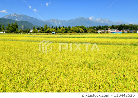 從屋代公園附近眺望蓮華山、地岳、鹿島槍山、五龍山（長野縣大町市）[2025年9月] 130442520