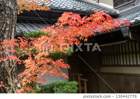 京都高峰光悅寺的秋葉 130442778