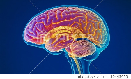 Vibrant illustration of a human brain. This artwork captures the complexity of neural connections. Explore the wonders of cerebral anatomy. Generative AI Vibrant illustration of a human brain. This artwork captures the complexity of neural connections. Explore the wonders of cerebral anatomy. Generative AI 130443053