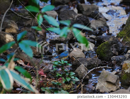水邊的Ruribitaki 水邊的Ruribitaki 130443293