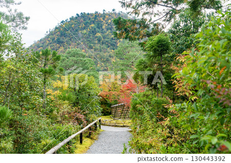 京都高峰光悅寺的秋葉 京都高峰光悅寺的秋葉 130443392