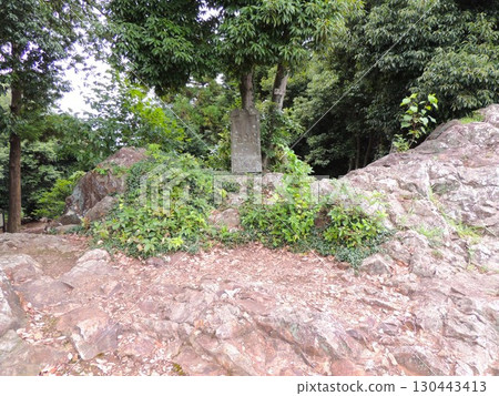 Mount Pompon 130443413