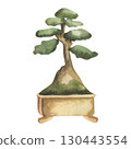 Bonsai tree watercolor illustration.Green small plant in ceramic pot clipart, isolated home jungle element, garden and floral painting for label,logo, card design. Tea ceremony oriental culture tree 130443554
