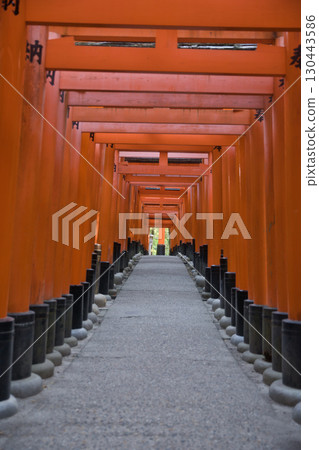 稻荷神社：寂靜中的千鳥居 1 130443586