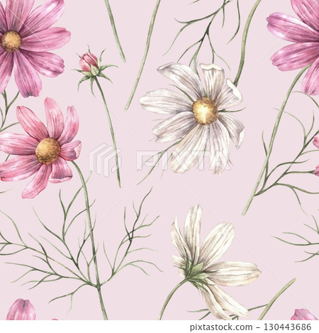 Pink and white cosmos flowers with green leaves. Watercolor botanical seamless pattern on pink background, suitable for wrapping paper, textile prints, various floral designs, floristry. 130443686