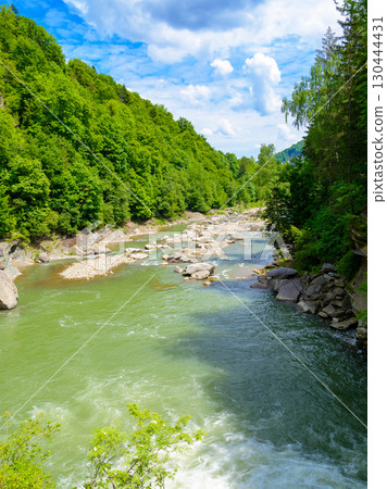 landscape with mountain river running through forest on a summer day. beautiful nature scenery of rapid water stream among with cascades and rocky hills with coniferous trees. ukrainian carpathians 130444431